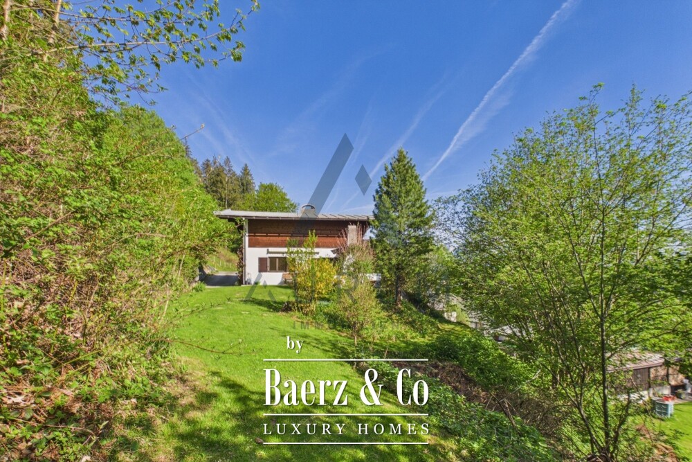 Foto 2 1000w